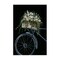 Stupell Industries Vintage Bicycle with Florals Canvas Wall Art Design by Yvette St. Amant